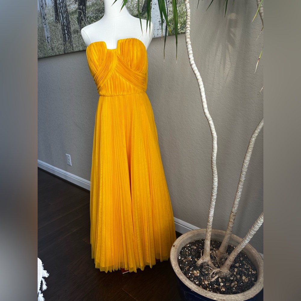Hutch - NWOT- Corene Gown in marigold, Gorgeous tulle layered maxi gown - Small